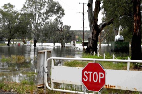 Power cuts begin as River Murray continues to rise