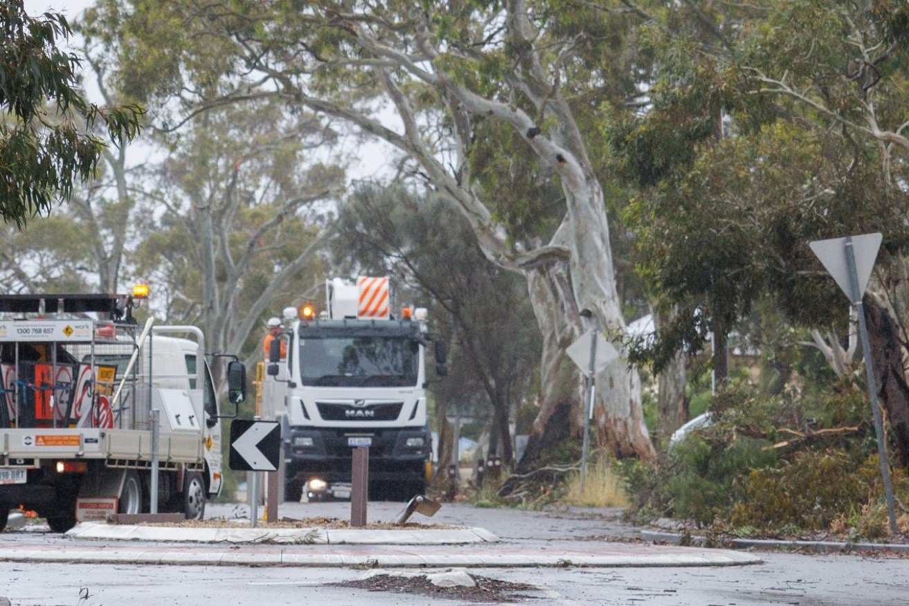 SA Power Networks are working to restore power. Photo: Tony Lewis/InDaily
