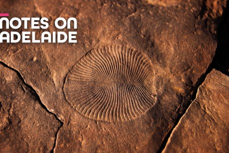 Notes on Adelaide podcast: The Cradle of Life
