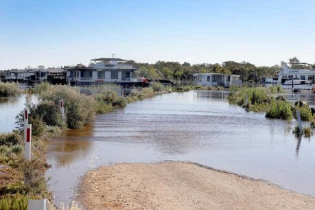 Flood warning for Renmark residents after levee breach
