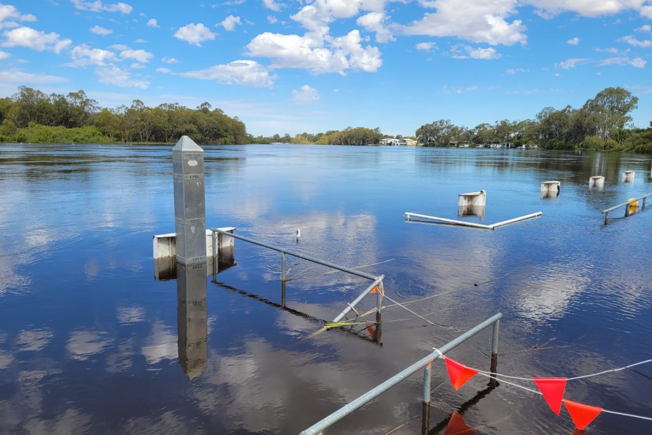 Submerged infrastructure at Renmark. Photo: Tony Love/InDaily