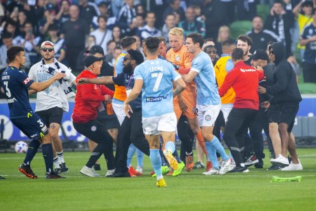 Two pitch invaders come forward after A-League disgrace