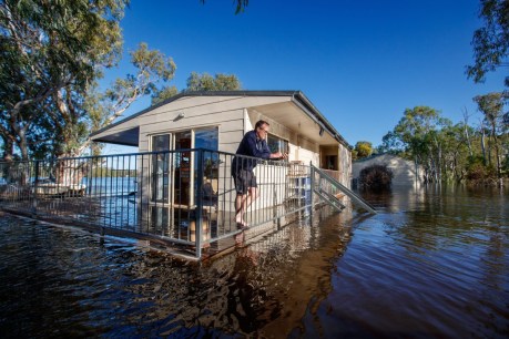 Fridges float out door as River Murray shacks inundated
