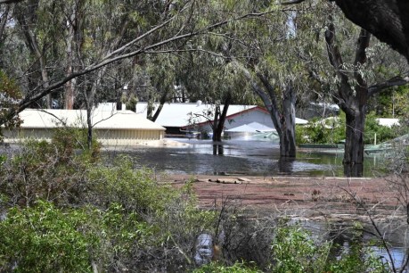 Caravan parks and communities rebuild after River Murray flooding