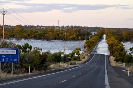 River Murray flood disaster banks on new philanthropic fund
