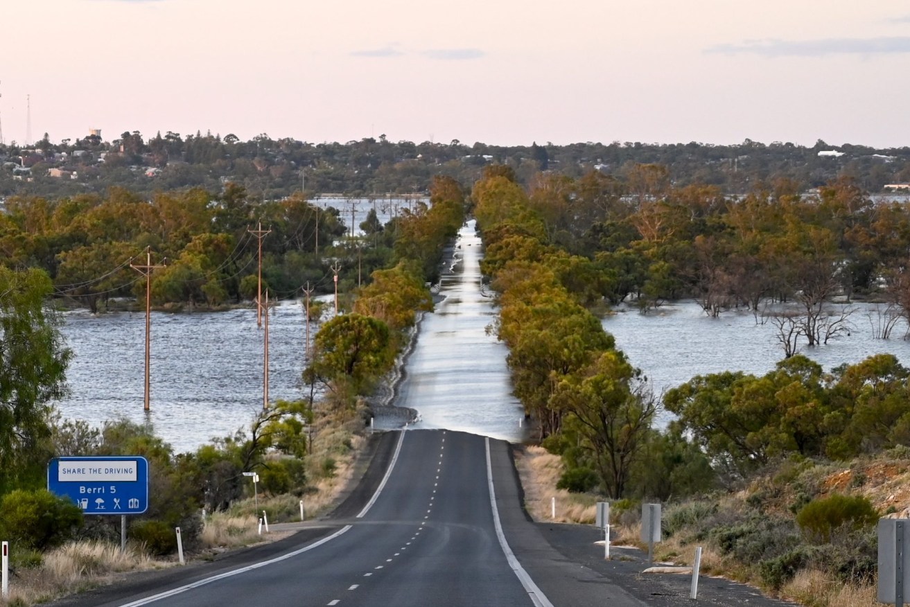 Floodwaters have cut Bookpurnong Road, the main route between Berri and Loxton. Photo: Belinda Willis/InDaily