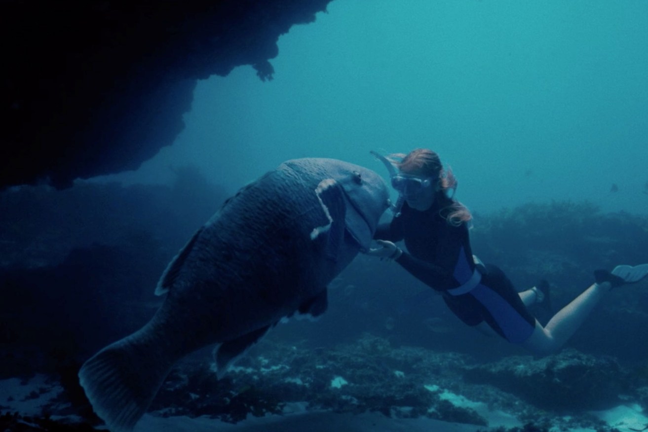 Blueback: There's magic in this film, especially in the relationship between a little girl and the big, wild fish she befriends. Photo: Roadshow