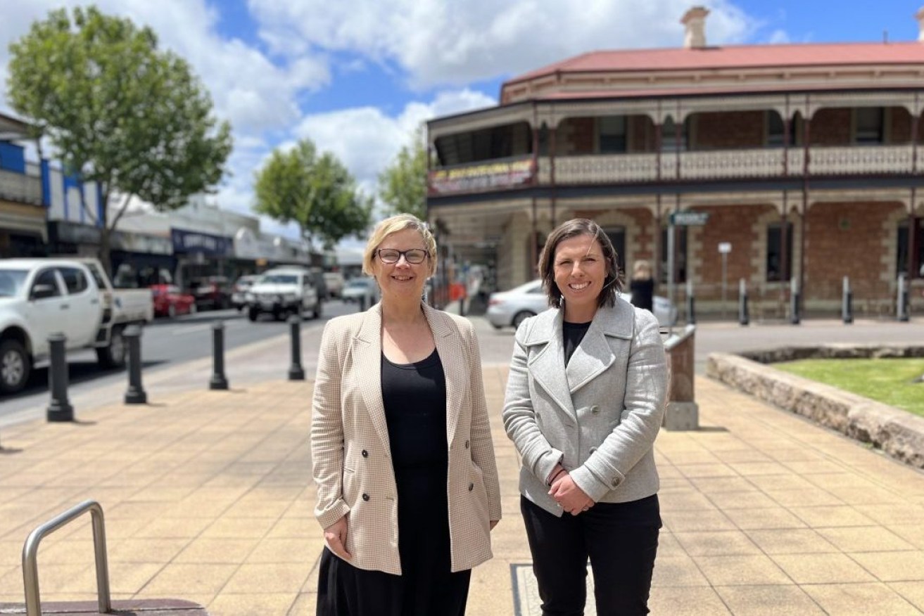 Minister for Primary Industries and Regional Development Clare Scriven (left) with the state's first Cross Border Commissioner, Liz McKinnon. Photo: supplied