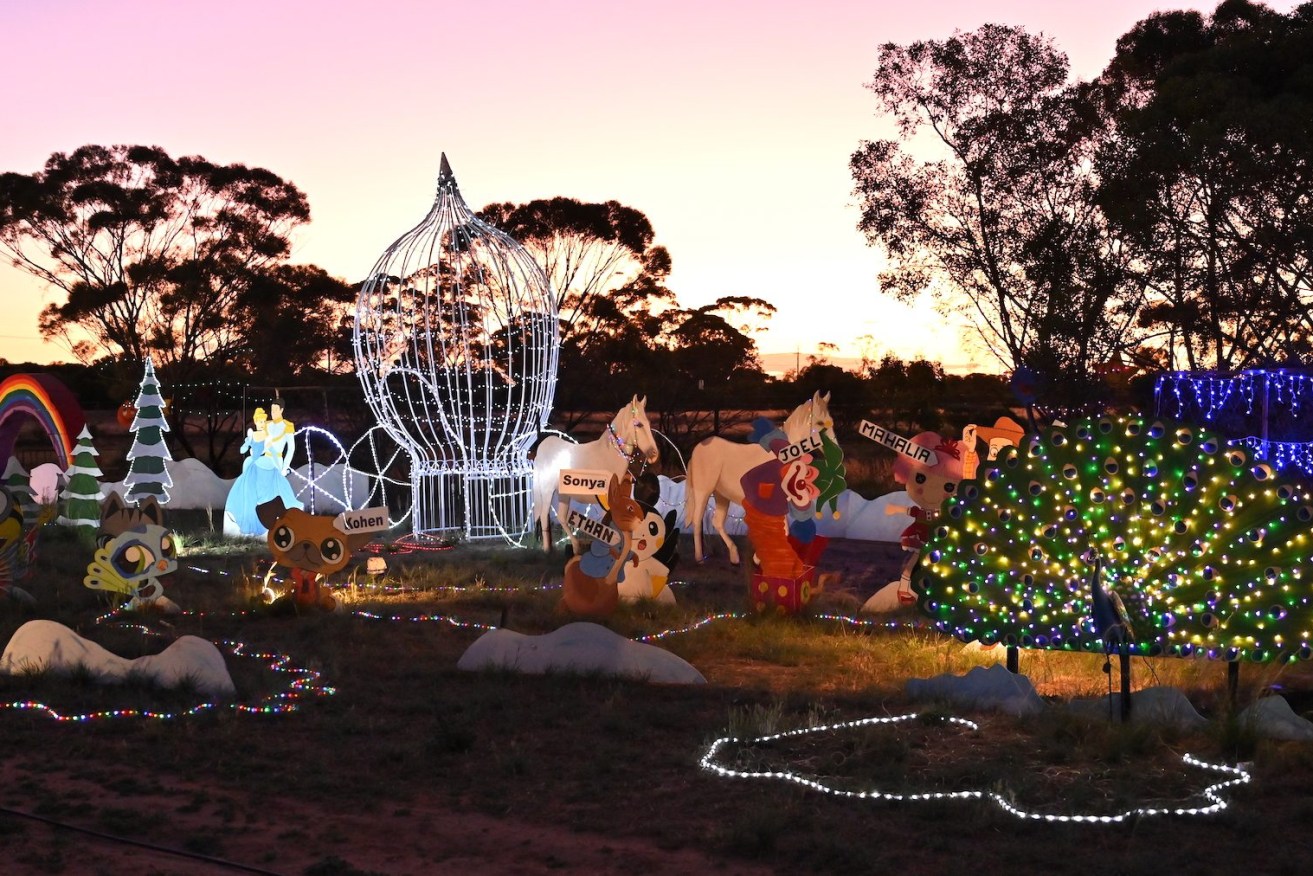Loxton's Christmas Wonderland. Photo: Belinda Willis/InDaily