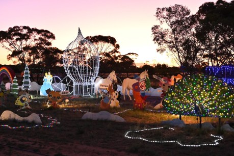 Twinkle of Christmas lights lives on in River Murray town