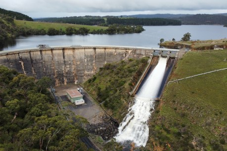 80 billion litres filled SA dams in spring
