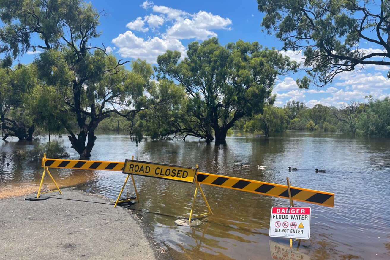 A flooded road at Loxton. Photo: Kylie Goldsack / InDaily
