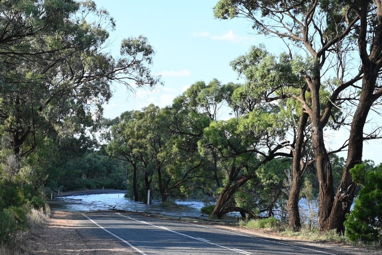 Drivers are being warned to keep away from flooded roads in the Riverland, including Moorook Road pictured here. Photo: Belinda Willis/InDaily