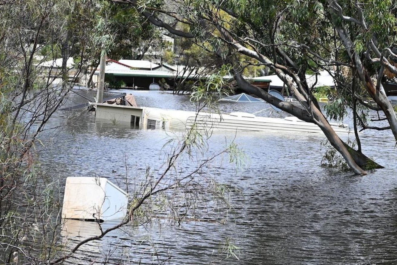 Flooding at Blanchetown Caravan Park last year. Photo: Belinda Willis/InDaily
