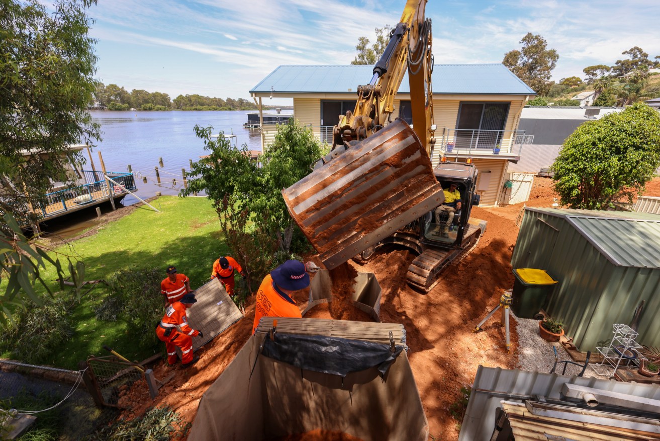 An emergency levee being built at Mannum in December. Photo: Tony Lewis/InDaily