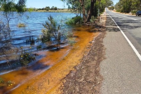 More Riverland road closures as Libs critical of ‘confusing’ messaging