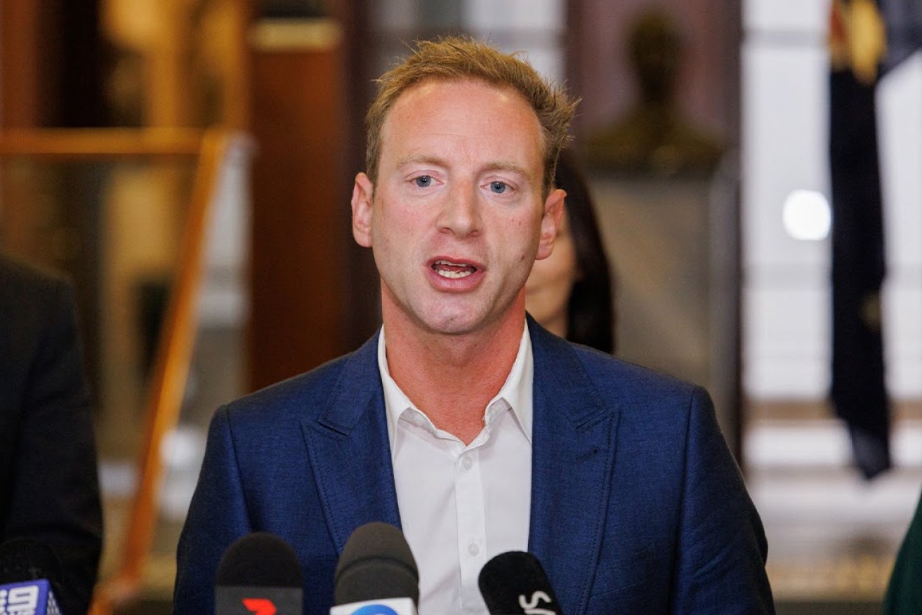 Opposition leader David Speirs wants a woman to replace retiring MLC Stephen Wade. Photo: Tony Lewis/InDaily