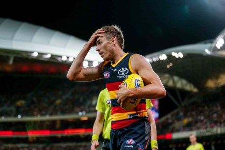 Seedsman retires from Crows after concussion