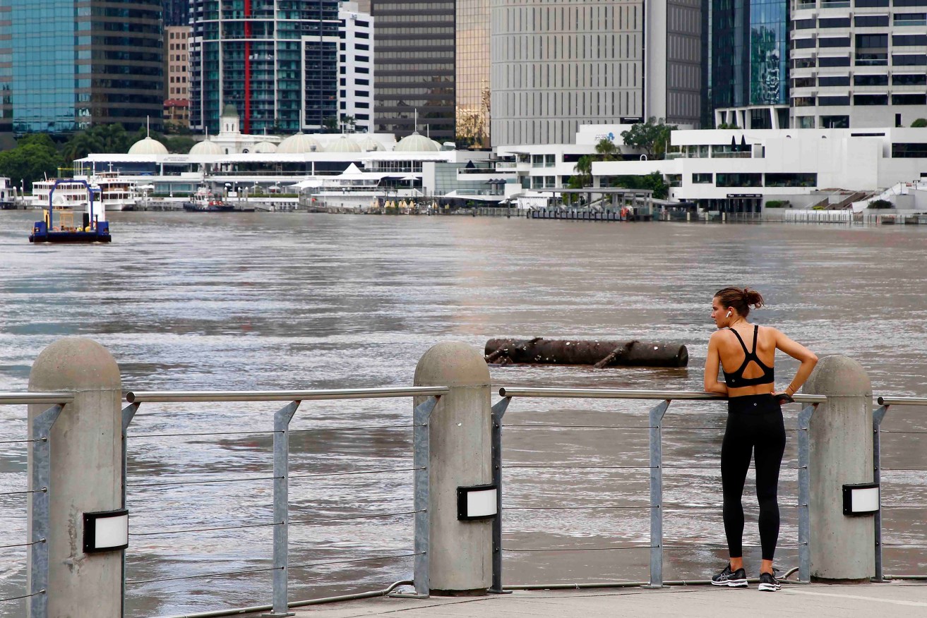 A jogger watches debris float down the Brisbane River in Brisbane last year. Tens of thousands of people were ordered to evacuate as parts of Australia's coast suffered the worst flooding in decades. Photo: AP/Tertius Pickard