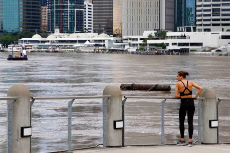 As heatwaves and floods hit cities worldwide, these places are pioneering solutions