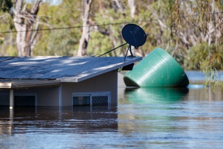 River Murray flood ‘most significant’ natural disaster in SA history