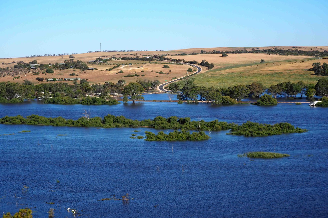 Flood waters at Mannum earlier this month. The peak has now passed.  Photo: AAP/Tim Dornin