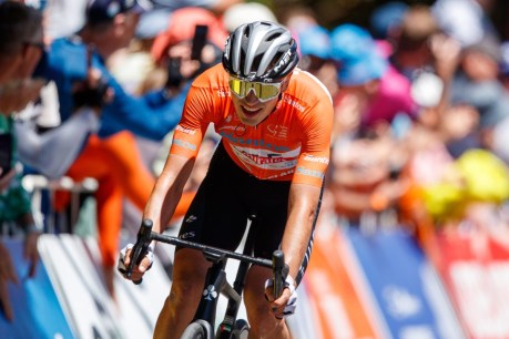 Vine continues climb with Tour Down Under win on debut