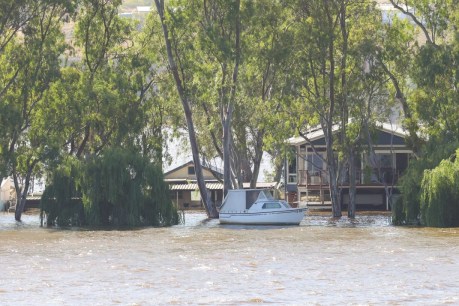 River Murray fuel money relief as another ferry faces closure