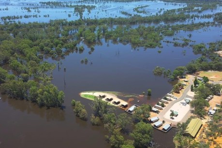 River Murray flooding prompts SA’s biggest disaster relief funding