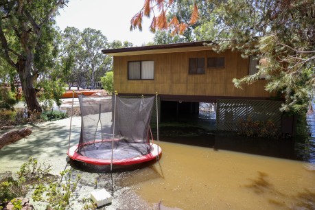 River Murray accommodation issue as flood peak passes