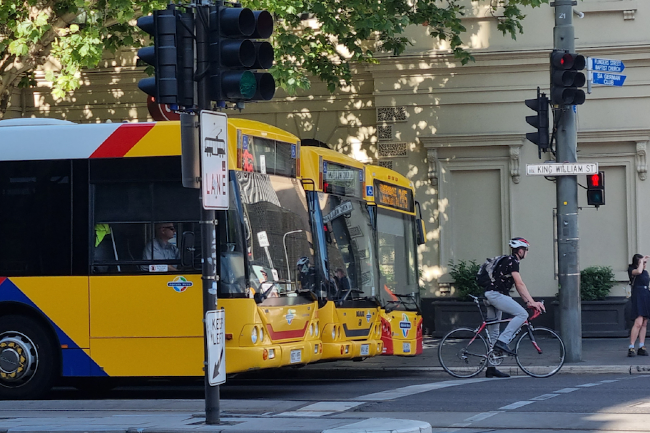 Adelaide Metro bus drivers on King William Street. Photo: Thomas Kelsall/InDaily