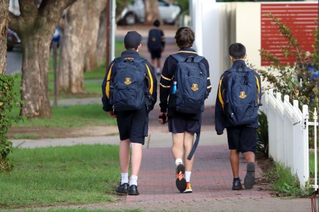 State Govt defends school mobile phone ban