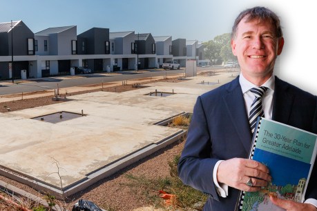 SA’s planning minister wants to reshape debate over urban sprawl