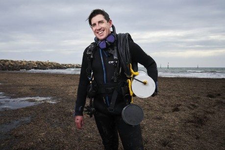SA oyster reefs alive with the sound of music