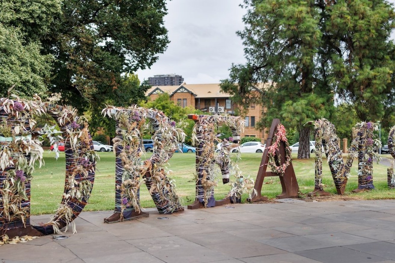 Blooms drape Anton Hart's Forest of Dreams work in Hurtle Square. Photo: Tony Lewis/InDaily