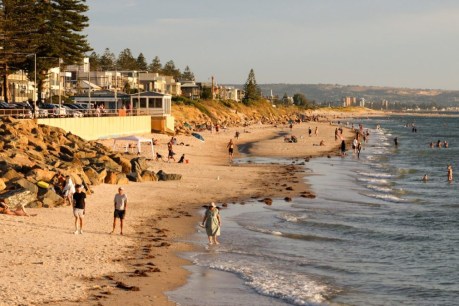 Popular Adelaide beach disappearing under review tide