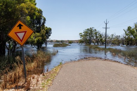 River Murray flood recovery to cost upwards of $200m