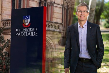 Adelaide Uni in ‘reasonably good shape’ ahead of merger talks