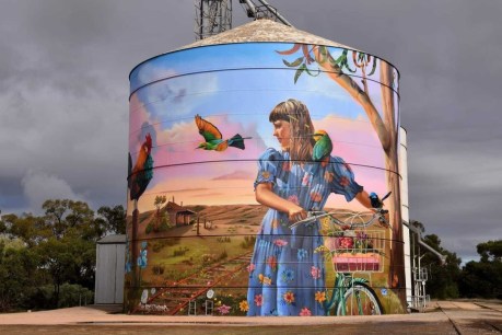 Mega win for South Aussie silos at national street art awards