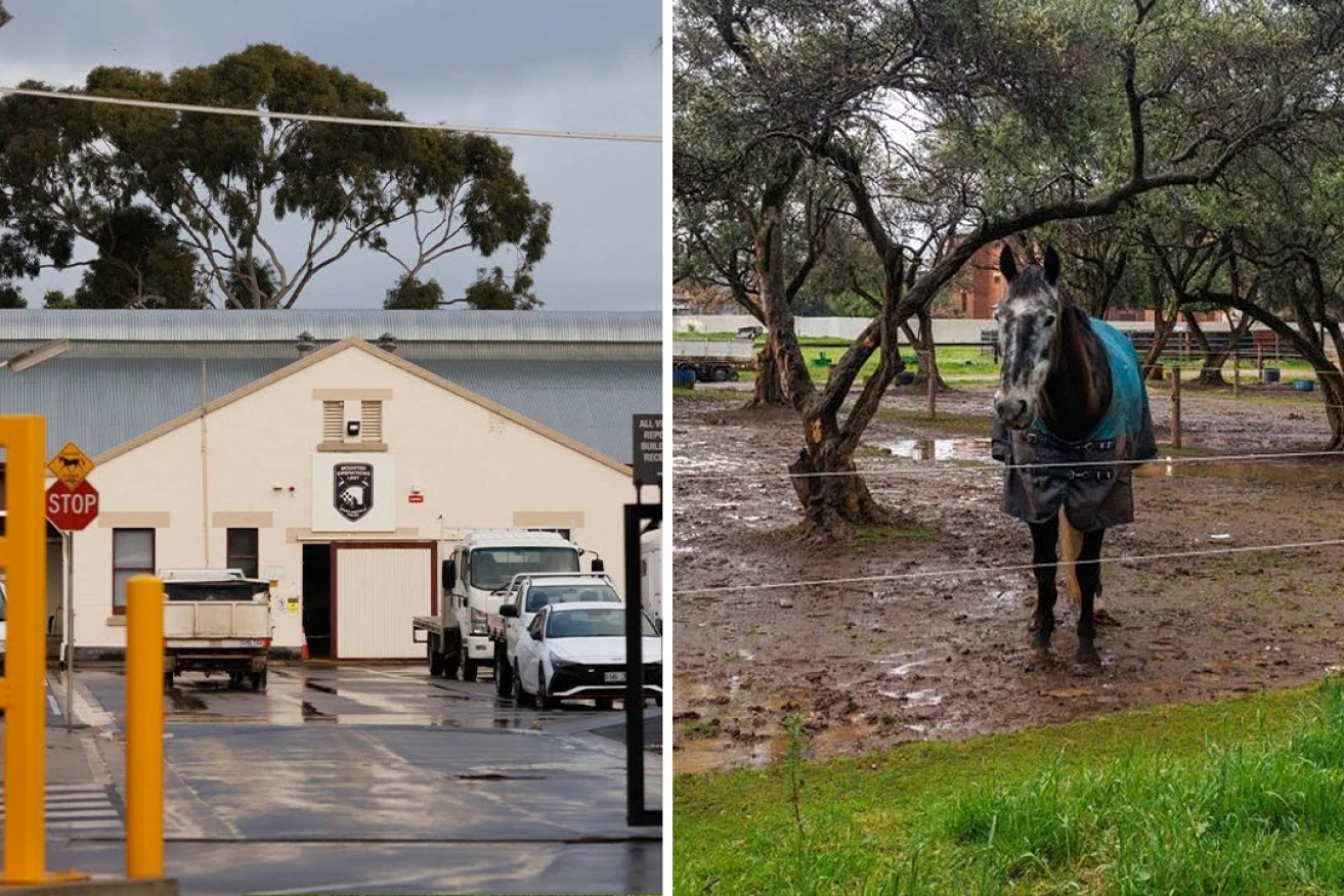 Police units including mounted police and dog operations must relocate for the Thebarton Barracks demolition. Photos: Tony Lewis/InDaily