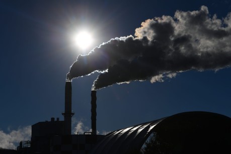 Govt urges balance on emissions reduction measures
