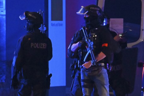 Seven reported dead in German church shooting