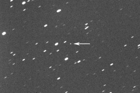 ‘City killer’ asteroid passing close to Earth within days