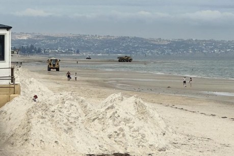 Rally planned as tide turns on new Henley Beach sand