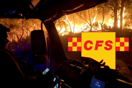 CFS sounds alarm on climate change, disaster response
