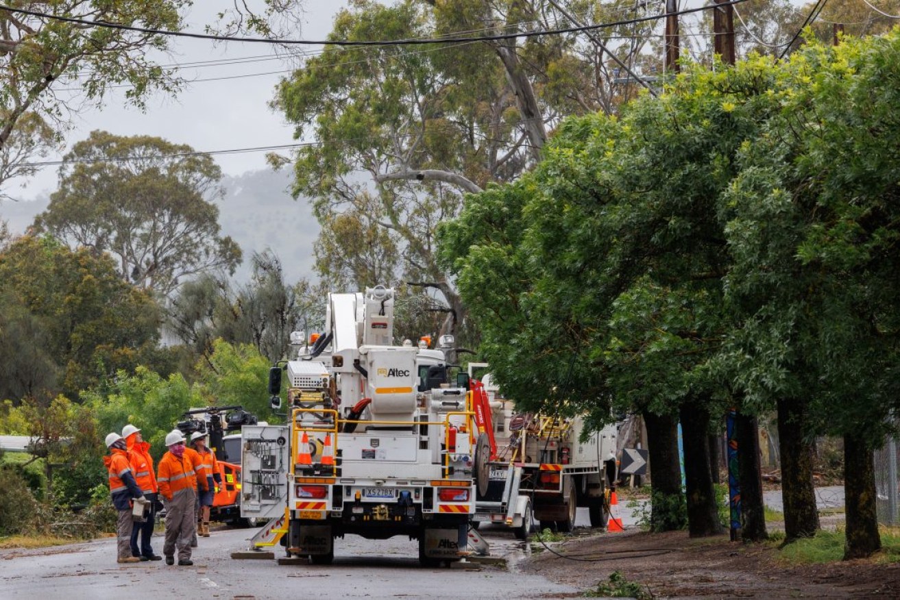 An SA Power Networks crew attends to downed power lines on a suburban street. Photo: Tony Lewis/InDaily