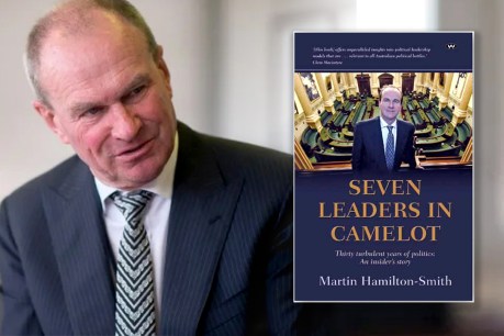 ‘Betrayal, scheming and skulduggery’: Hamilton-Smith pens political memoir