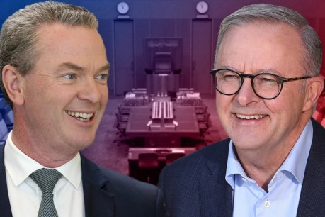 Unrepentant partisan, unlikely friend: Christopher Pyne’s verdict on Albanese