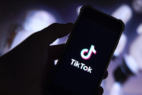 US state bans TikTok, threatens big fines