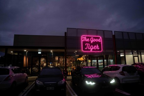 Restaurant review: The Good Tiger